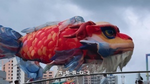 新西兰vs比利时直播_新西兰vs比利时直播在线观看_免费看直播