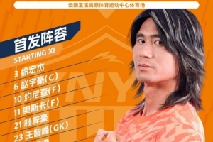 免费日本vs瑞典直播在线观看