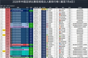 火爆土耳其vs巴拉圭十佳球