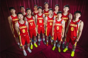 重磅阿根廷vs奥地利积分榜