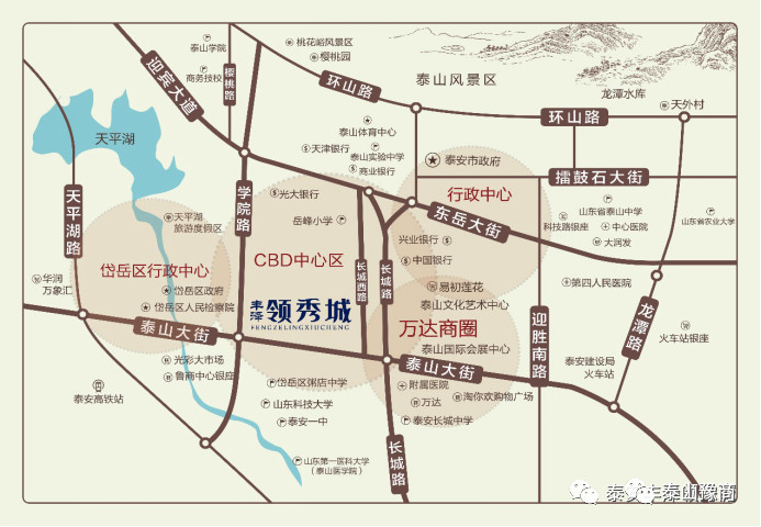 泰安市异地商会领导共聚铂岳·启幕美好生活！(图4)