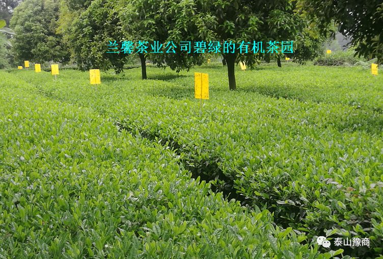 1-200G0212514455.jpg