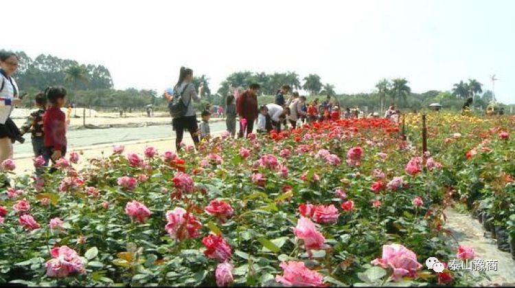 1-200G02222454U.jpg