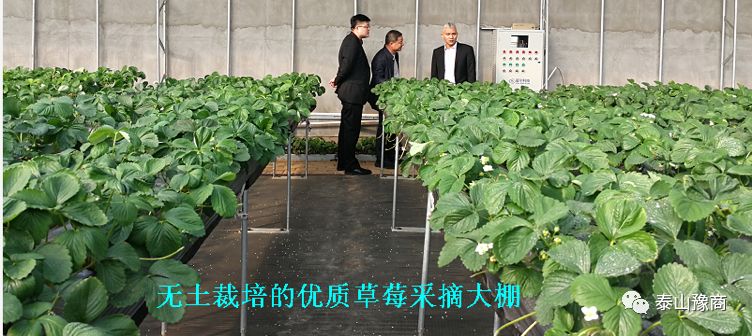 1-200G2133349A8.jpg