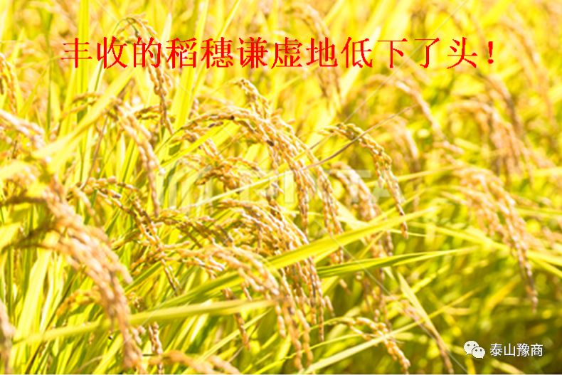 1-200R612323a50.jpg