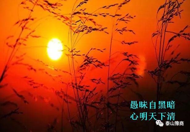 1-200R9224042314.jpg