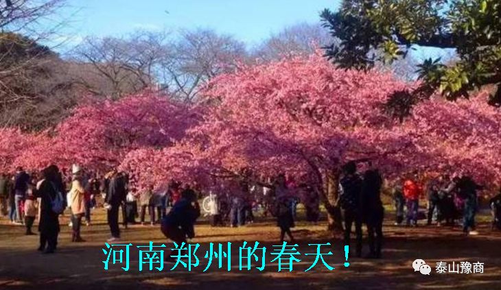 1-200R922421a24.jpg