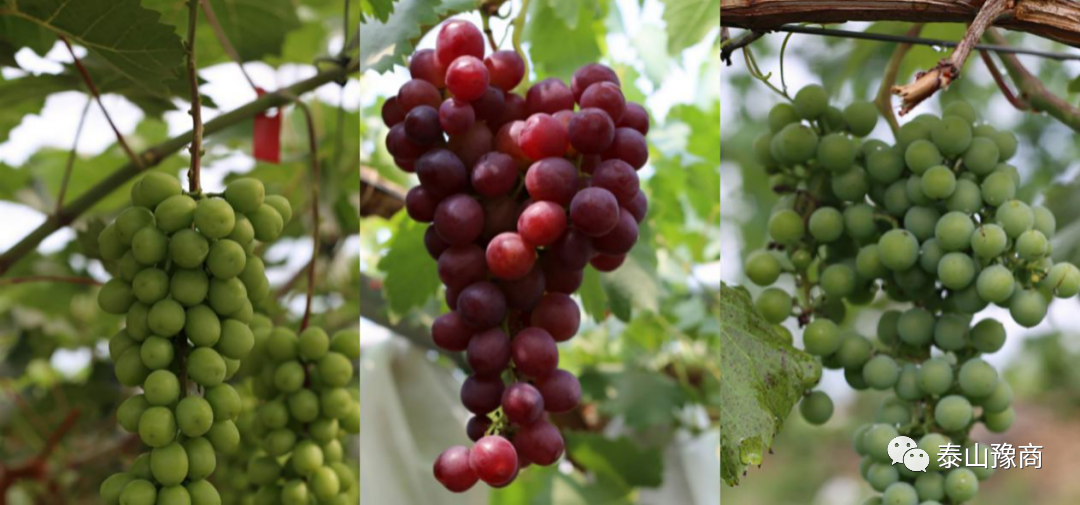 1-210119163F0456.png