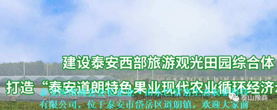 1-210119204934F5.png